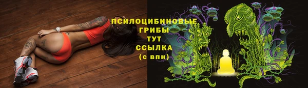 трава Бородино