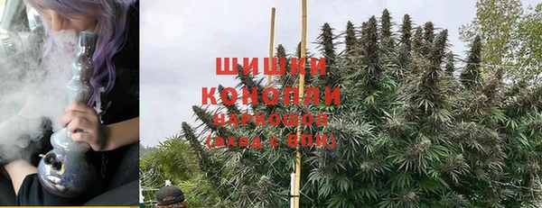 крисы Верея