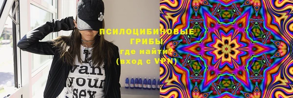 крисы Верея