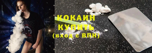 крисы Верея
