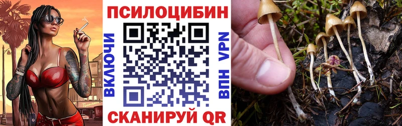 продажа наркотиков  Весьегонск  Псилоцибиновые грибы Magic Shrooms 
